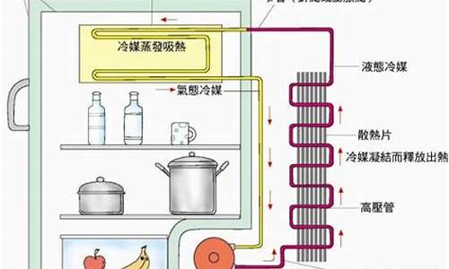 电冰箱的工作原理与维修_图说电冰箱原理与快修