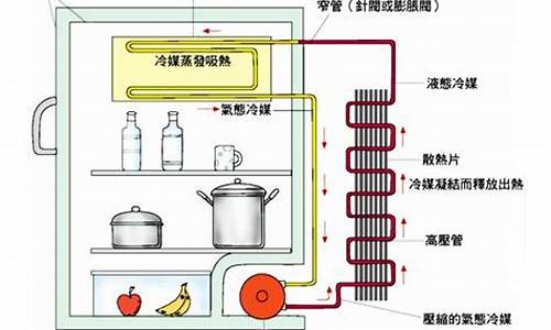 冰箱的工作原理是什么及如何节能_冰箱的工作原理是什么