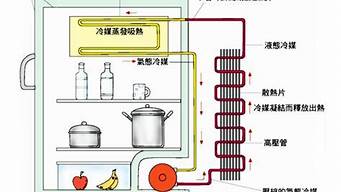 冰箱制冷原理示意图_冰箱制冷原理示意图视频